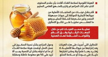 حقيقة تداول عسل نحل مغشوش بالأسواق.. الحكومة توضح “إنفوجراف”