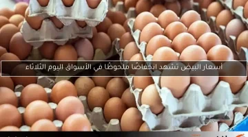 أسعار البيض تشهد ارتفاعًا ملحوظًا في الأسواق اليوم