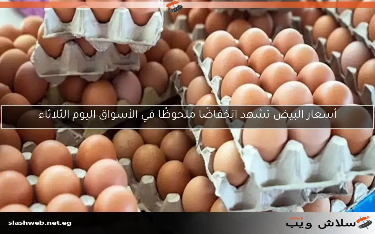 أسعار البيض تشهد ارتفاعًا ملحوظًا في الأسواق اليوم