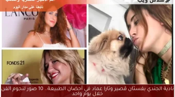 نادية الجندي بفستان قصير وتارا عماد في أحضان الطبيعة.. 10 صور لنجوم الفن خلال يوم واحد