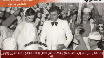 جمالها يأسر القلوب.. استمتع بلقطات من حفل زفاف محمود عبدالعزيز وجيجي زويد