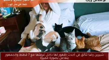 شيرين رضا تتألق في أحدث ظهور لها داخل غرفتها مع 7 قطط والجمهور يتفاعل بصورة مميزة