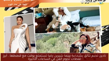 نادين نجيم تتألق بشجاعة بينما شيرين رضا تستمتع بوقت مع قططها.. أبرز لقطات نجوم الفن في الساعات الأخيرة