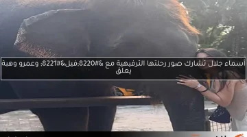 أسماء جلال تشارك صور رحلتها الترفيهية مع “فيل” وعمرو وهبة يعلق