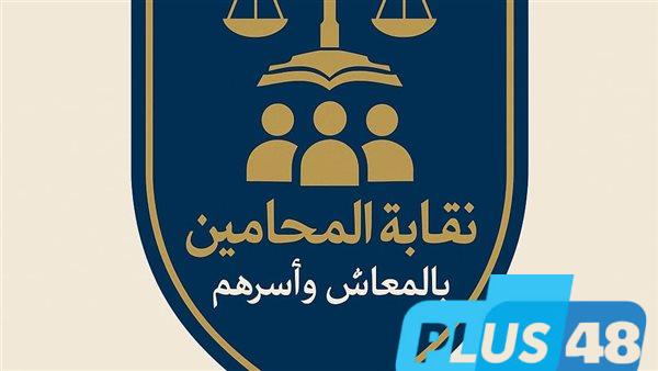 نقابة المحامين بالمعاش| أزمة جديدة في مواجهة مجلس علام.. هل يجوز إنشاء نقابة مستقلة لهم؟