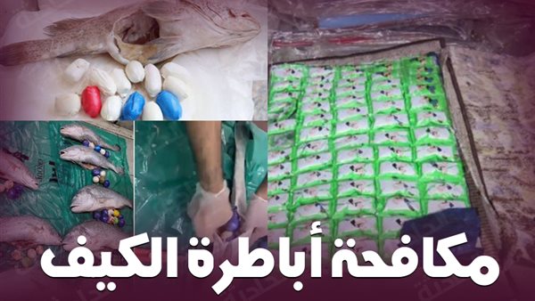 الداخلية تلاحق تجار الكيف والسلاح .. 71 مليون جنيه حصيلة غسل أموال في أسبوع