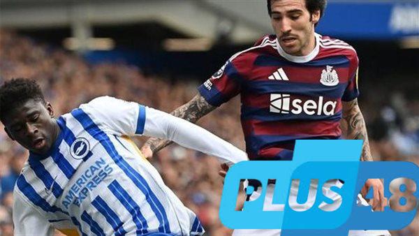 تعادل إيجابي بين برايتون ونيوكاسل في الدوري الإنجليزي