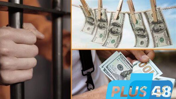 ضبط 7 عناصر إجرامية لغسلهم 80 مليونًا متحصلات المخدرات والسلاح