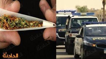 اقتحام أوكار الكيف.. ضبط 7 مليون جنيه حصيلة تجارة المخدرات والسلاح بالمحافظات