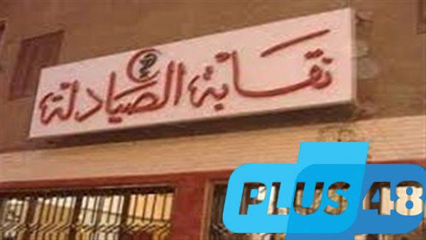 ارفعوا الحراسة عن نقابة الصيادلة.. مناشدة برلمانية خلال مناقشة القانون |تفاصيل