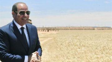 تعزيز الأمن الغذائي.. الرئيس السيسي يشهد موسم حصاد القمح 2025