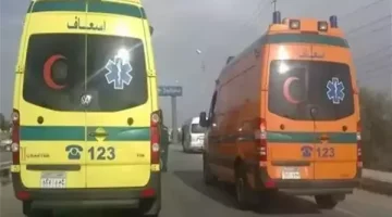 إصابة مستشارة بالمحكمة الدستورية العليا في حادث تصادم بطريق الإسكندرية الصحراوي