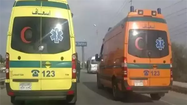 إصابة مستشارة بالمحكمة الدستورية العليا في حادث تصادم بطريق الإسكندرية الصحراوي