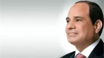 استمرار الدعم المصري.. الرئيس السيسي يلتقي رئيس مجموعة البنك الأفريقي للتنمية