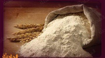 ضبط 8 طن دقيق مدعم في حملات تموينية خلال 24 ساعة