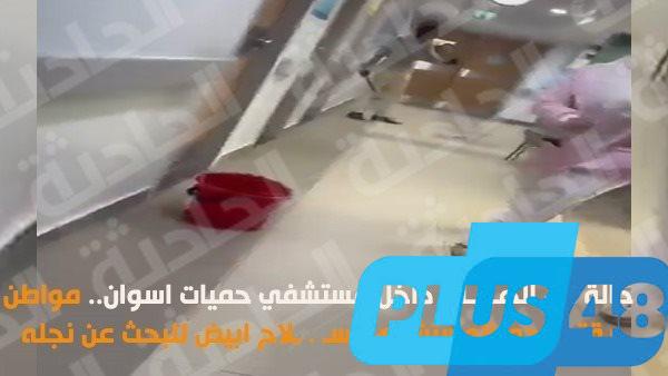 ليلة من الهلع.. مفاجآت في واقعة اقتحام مستشفى حميات أسوان بسلاح أبيض (فيديو)
