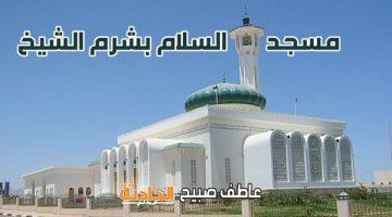 موعد أذان الظهر بالقاهرة والإسكندرية والمحافظات وفقا لهيئة المساحة وكتب السنة ضمن مواقيت الصلاة اليوم السبت