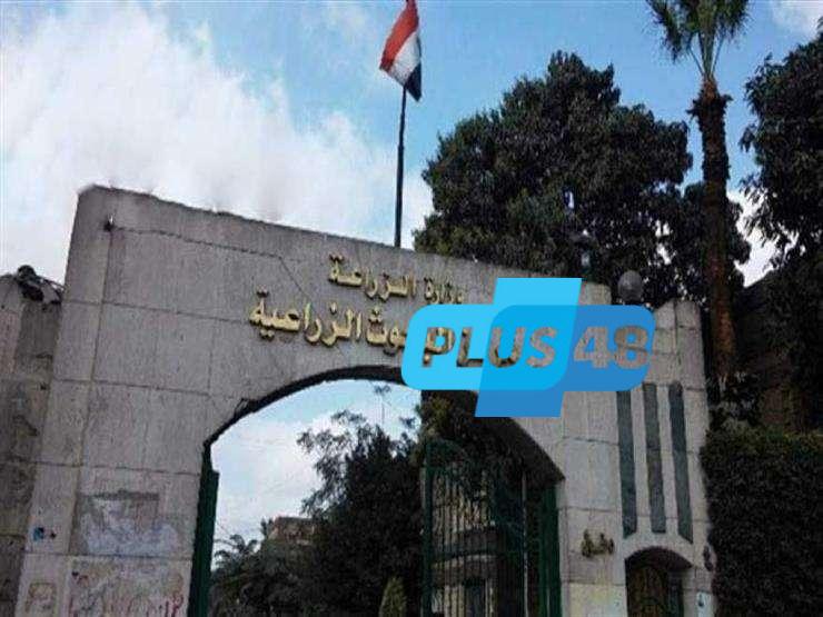 بالأرقام والتفاصيل.. اعرف إنجازات مركز البحوث الزراعية خلال الفترة من 10 إلى 16 مايو 2025