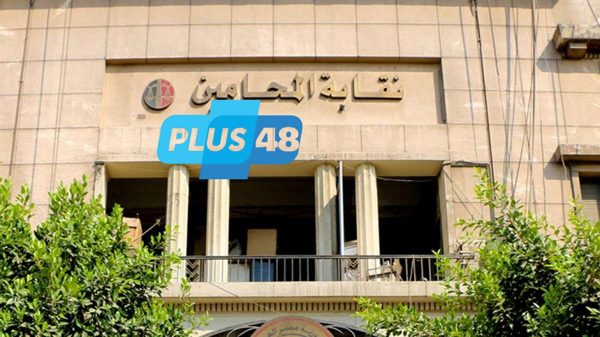 أمين عام نقابة المحامين: الإضراب نجح بنسبة 90% ومطلبنا هدفه مصلحة المواطن