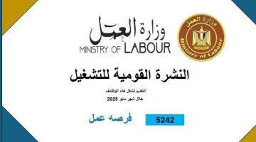 فرص عمل جديدة في 8 محافظات.. تفاصيل نشرة التوظيف نصف الشهرية