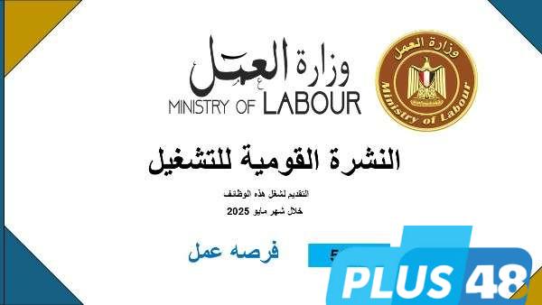 فرص عمل جديدة في 8 محافظات.. تفاصيل نشرة التوظيف نصف الشهرية