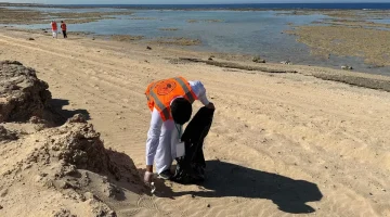 #حرس_الحدود ينفّذ مبادرة تطوعية لتنظيف شاطئ الدرر في #تبوك
