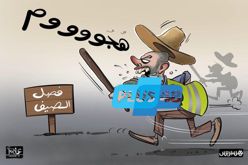 عشوائية حراسة السيارات تعمق الأزمة بين المواطنين والجماعات الترابية