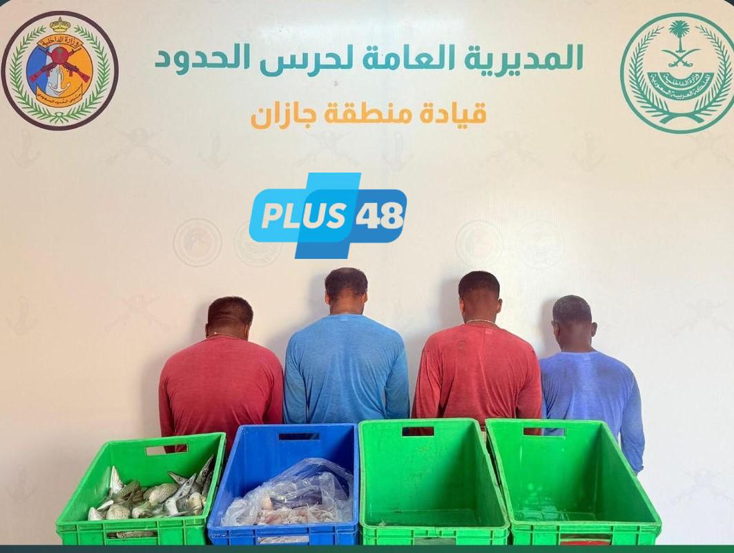 ضبط (4) مقيمين من الجنسية الهندية مخالفين للائحة الأمن والسلامة لمزاولي الأنشطة البحرية #عاجل