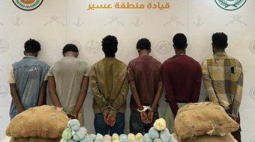 القبض على (6) مخالفين لأمن الحدود من الجنسية الإثيوبية لتهريبهم (120) كجم من القات المخدر #عاجل