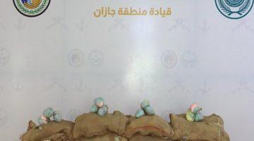 إحباط تهريب 80 كجم من نبات القات المخدر #عاجل