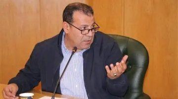 رئيس تحرير فيتو لـ«الحرية»: أدعو نقابة الصحفيين للتحرك وكسر احتكار “ميتا” و”جوجل” لسوق الإعلانات الرقمية