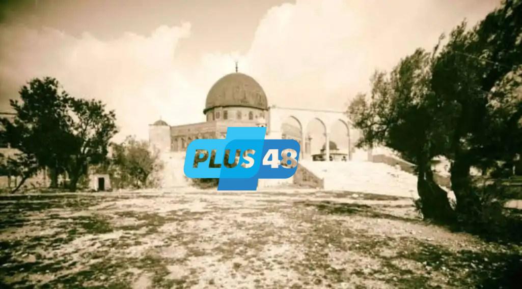 من مقاطعة عبد الناصر إلى التطبيع العربي.. كيف تغيرت مواقف الدول العربية تجاه إسرائيل؟