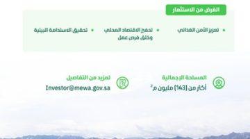 (43) فرصة استثمارية في #حائل بمساحات تتجاوز (143) مليون م3 لتعزيز التنمية الزراعية والحيوانية والسياحية