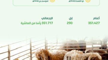“البيئة” تُعلن عن فسح أكثر من 351 ألف رأس من الماشية لموسم #حج_1446هـ