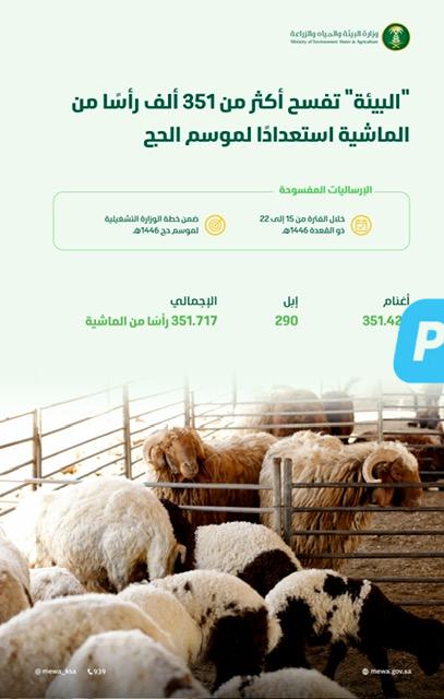 “البيئة” تُعلن عن فسح أكثر من 351 ألف رأس من الماشية لموسم #حج_1446هـ