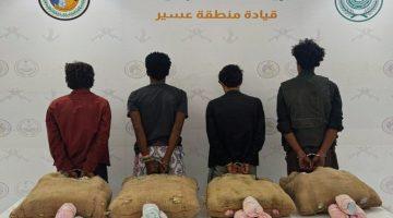 القبض على (4) مخالفين من الجنسيتين اليمنية والإثيوبية لتهريبهم (80) كيلوجرامًا من نبات القات #عاجل