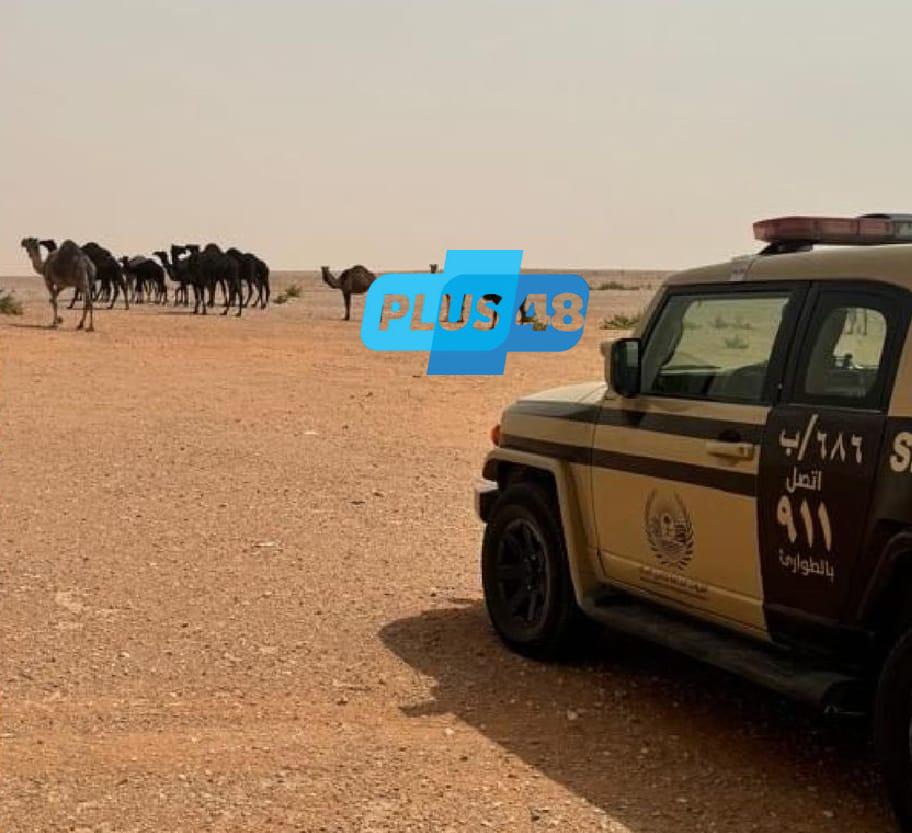#الأمن_البيئي : ضبط مواطنًا مخالفًا لارتكابه مخالفة رعي في محمية الإمام عبدالعزيز بن محمد الملكية #عاجل