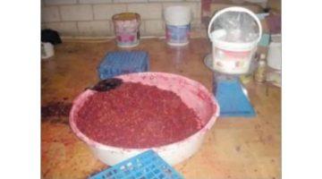 في اليوم العالمي للتبغ.. ننشر خريطة مصانع بير السلم السرية للمعسل في رمسيس وباب البحر (تقرير)