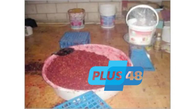 في اليوم العالمي للتبغ.. ننشر خريطة مصانع بير السلم السرية للمعسل في رمسيس وباب البحر (تقرير)