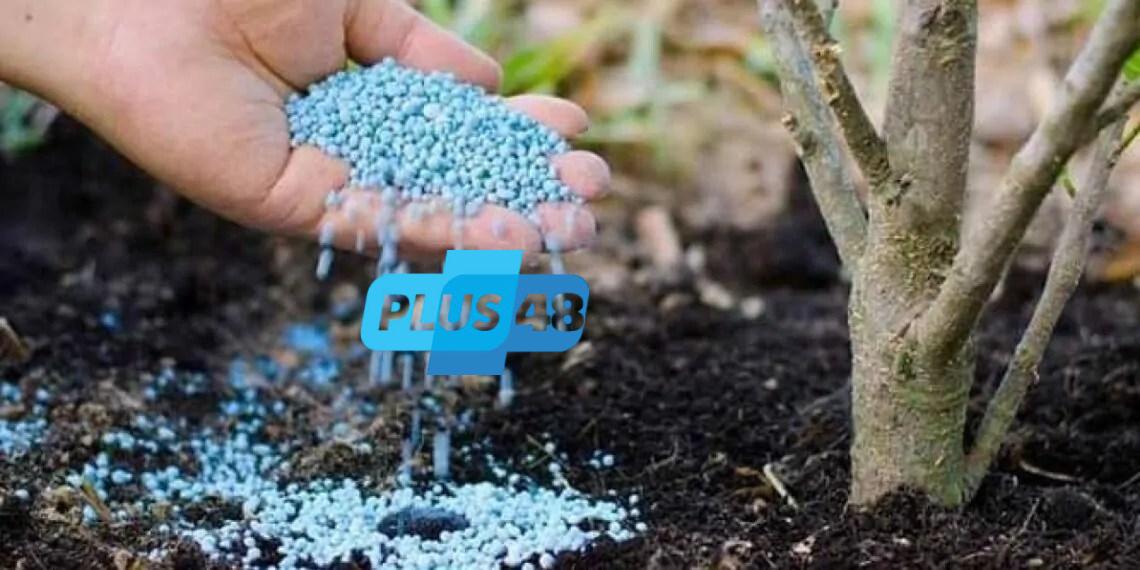 الأسمدة.. مصر على قائمة أكبر 10 دول في تصديرها حول العالم