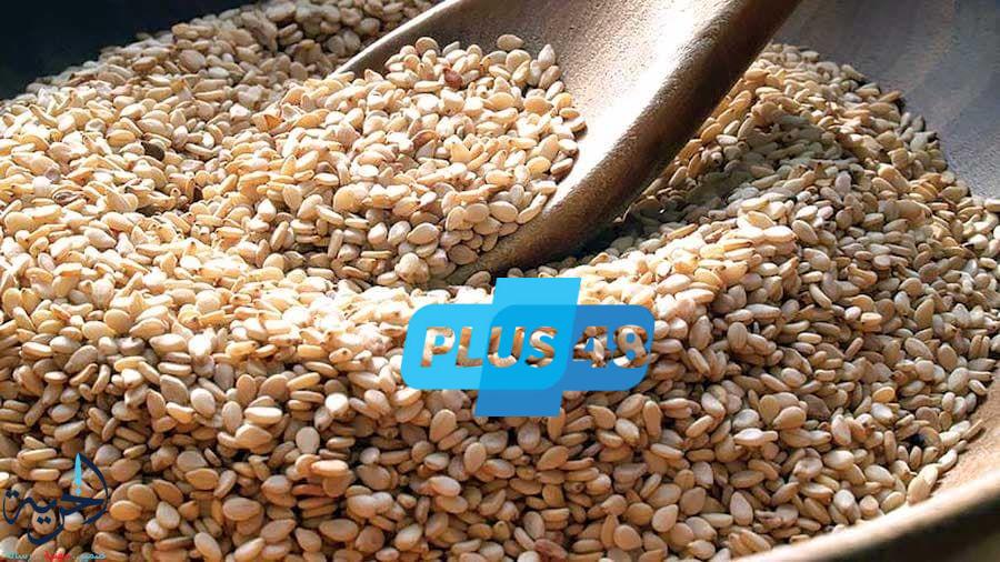 السمسم.. جرامات قليلة غنية بالمعادن تعزز صحة الدماغ والجهاز العصبي