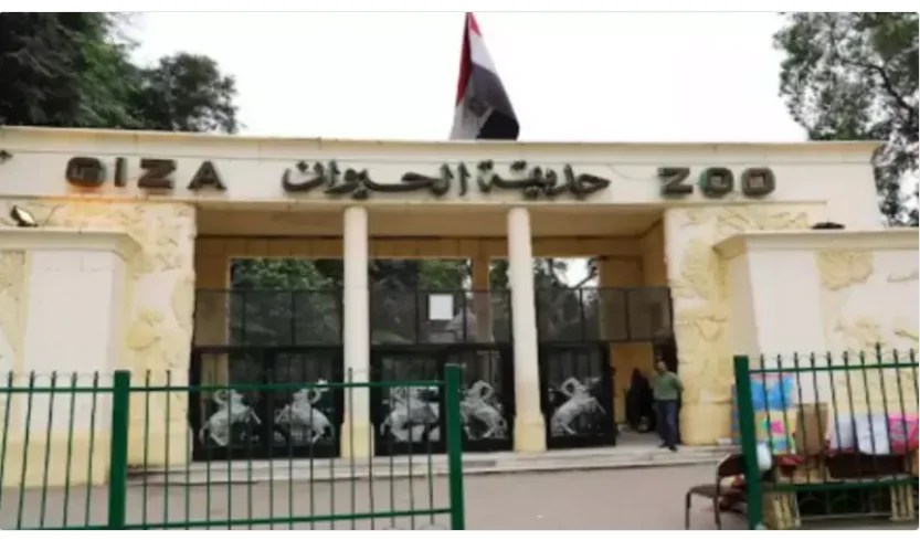 2.3 مليار جنيه لتطوير حديقة الحيوان والأورمان بالجيزة.. تفاصيل مهمة