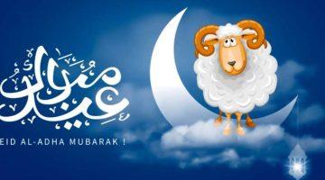 آخر موعد لقص الشعر والأظافر للمضحي.. التفاصيل الكاملة