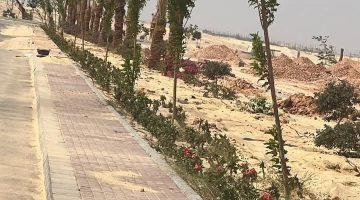 إزالة تعديات على 93 فدانًا واستئناف مشروعات مدينة ملوي الجديدة