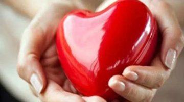 مريض القلب يستطيع الإنجاب.. الزواج يحمي ملايين المرضى من الوفاة بالسكتة القلبية