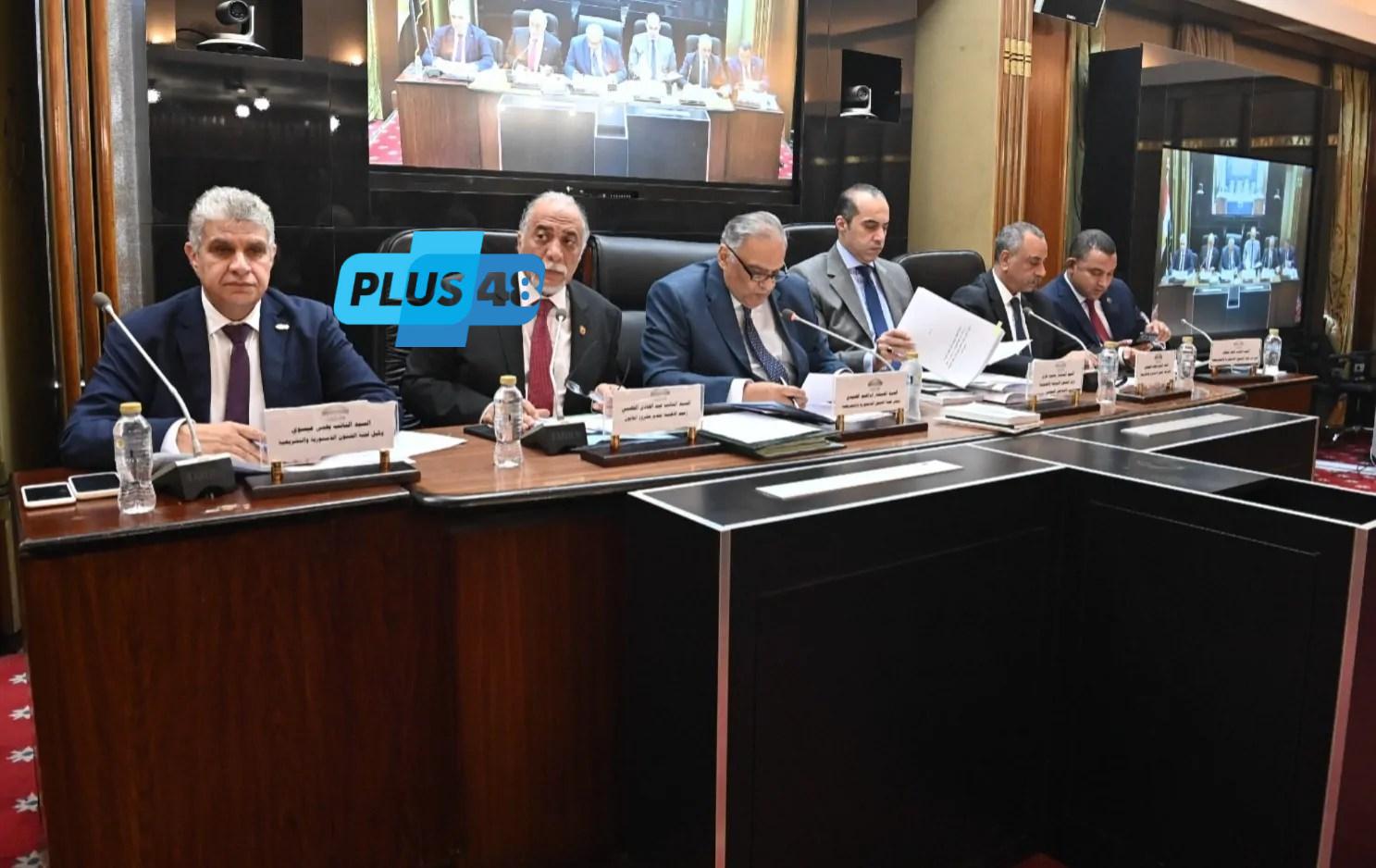 الهنيدي: تقسيم الدوائر الانتخابية من أدق العمليات التشريعية وأهمها أثرًا في ضبط ميزان التمثيل النيابي