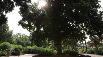 موجة الحرارة في المغرب تتجاوز المعدلات الموسمية بأكثر من 15 درجة