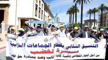 فئات مهنية تلوح باحتجاجات صيفية