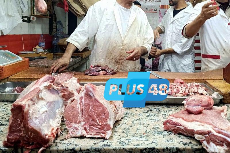أسعار “الدوّارة” تقفز إلى 700 درهم