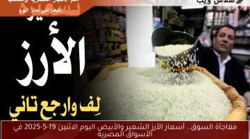 مفاجأة السوق.. أسعار الأرز الشعير والأبيض اليوم الثلاثاء 20-5-2025 في الأسواق المصرية